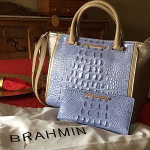 Brahmin Bag and Wallet